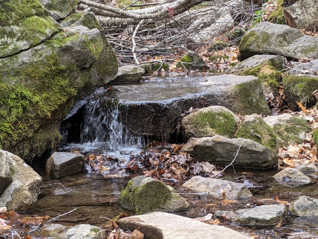 PXL_20201020_151811044.MP