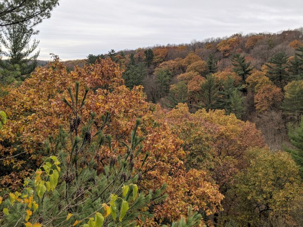 PXL_20201020_160712103