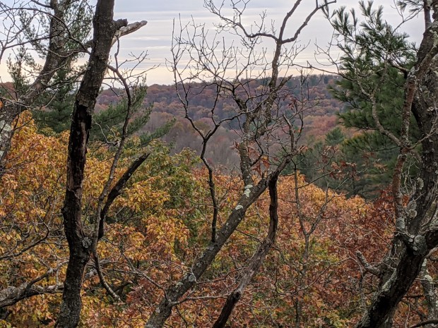 PXL_20201020_161018563