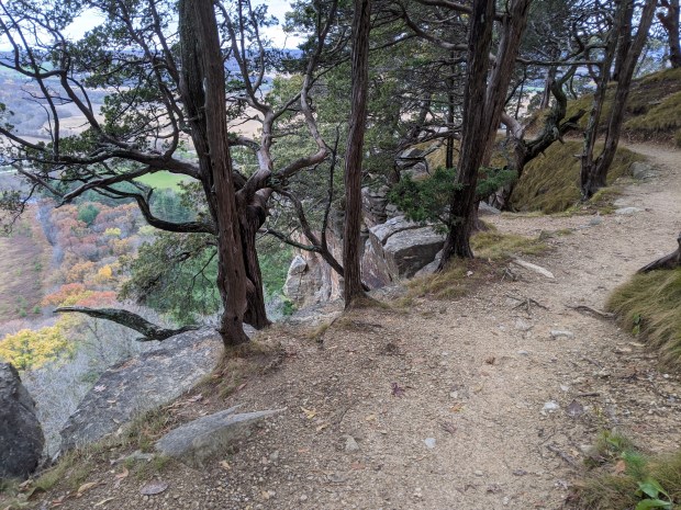 PXL_20201024_130118969