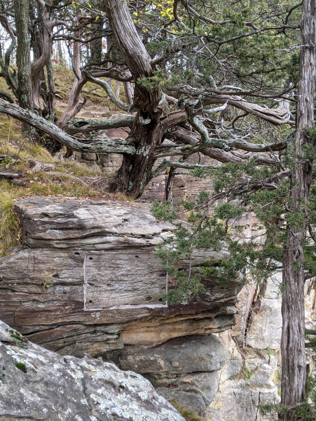 PXL_20201024_140103022