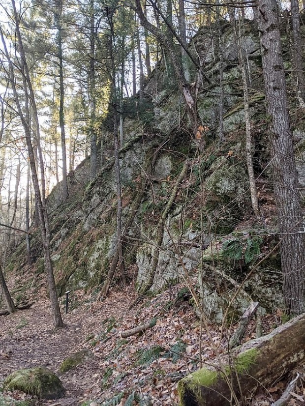 PXL_20201112_143622889