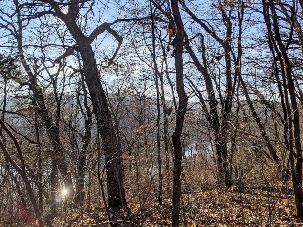 PXL_20201112_150432139