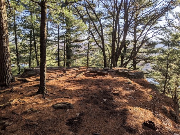 PXL_20201112_150944480