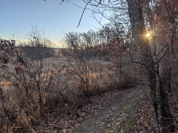 PXL_20201117_134433284