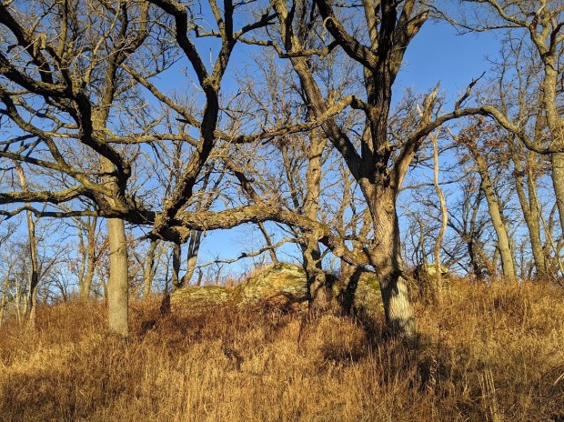 There are lots of rock formations and ancient oaks. There are lots of rock formations and ancient oaks.