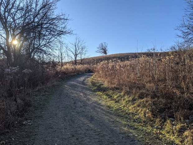 PXL_20201117_140217271