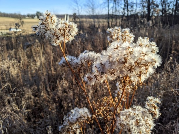 PXL_20201117_144122053