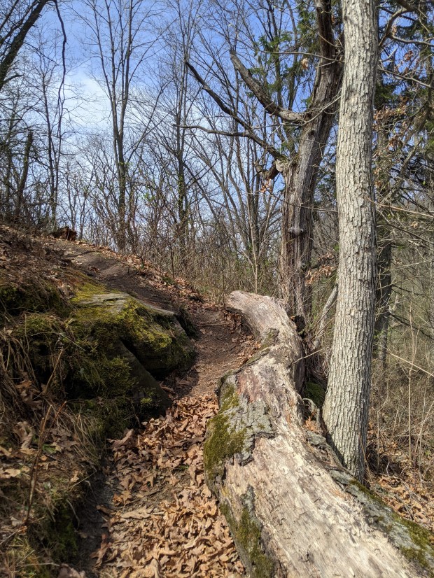 there IS a trail up Donald Rock.