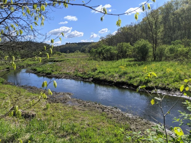 The Cave trail follows along one of the streams in the park.