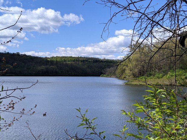 PXL_20210507_153544116