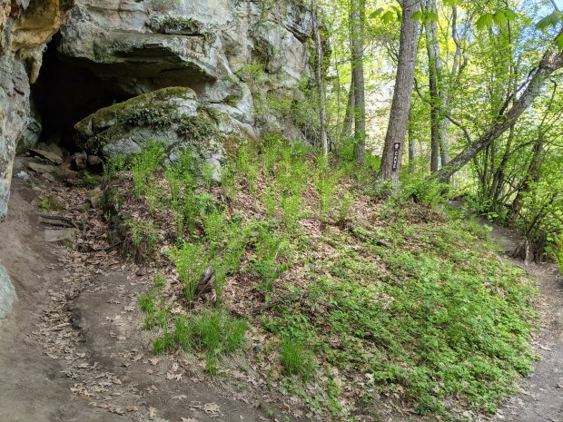Eventually, after several miles, we deduced that we were nearing the cave.