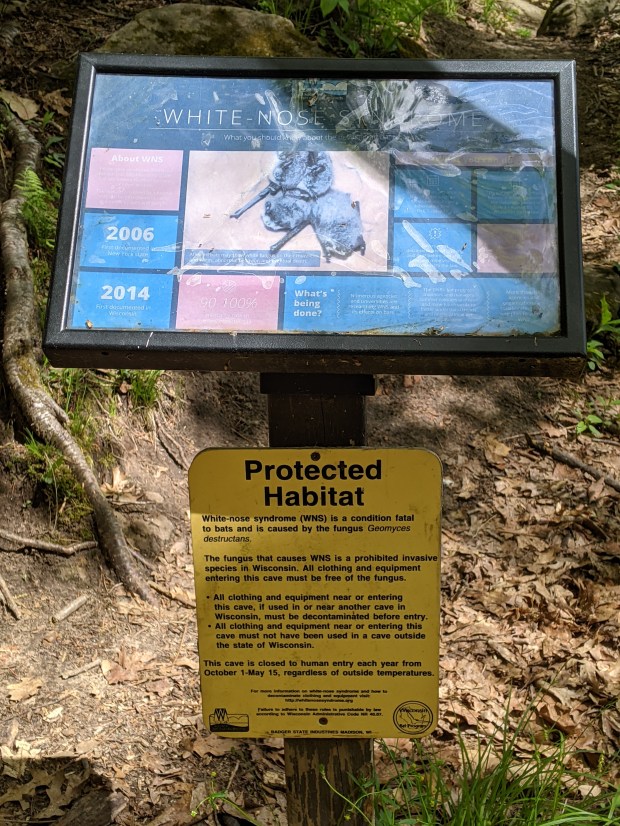 PXL_20210507_155356450