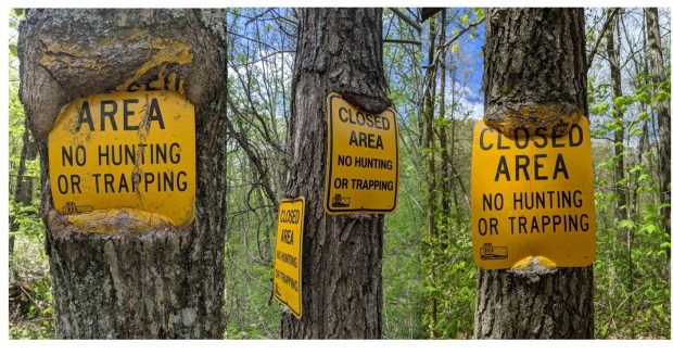 along the way we observed some sinister sign-eating trees.
