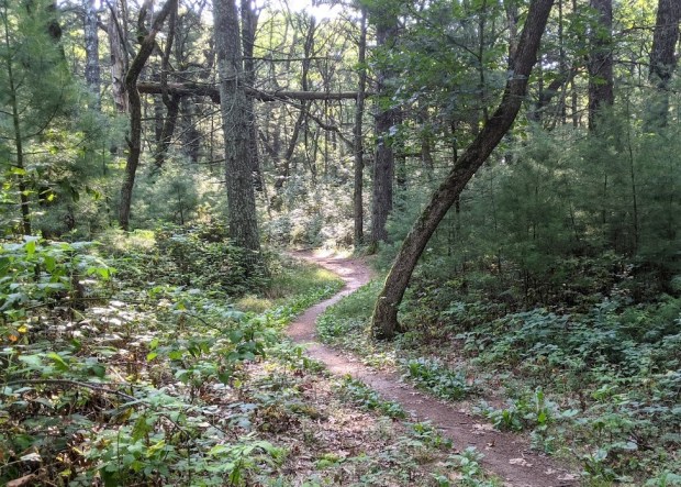 PXL_20210820_142451793