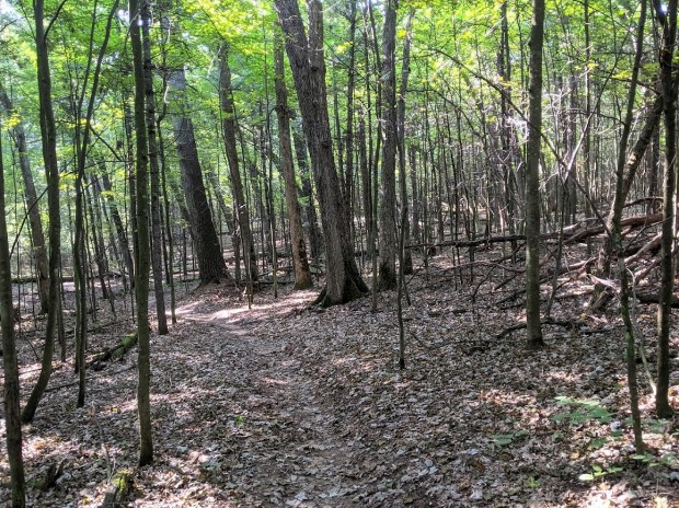 PXL_20210820_143608689