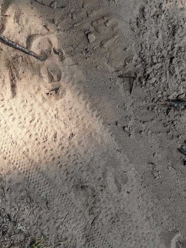 PXL_20210820_144317183