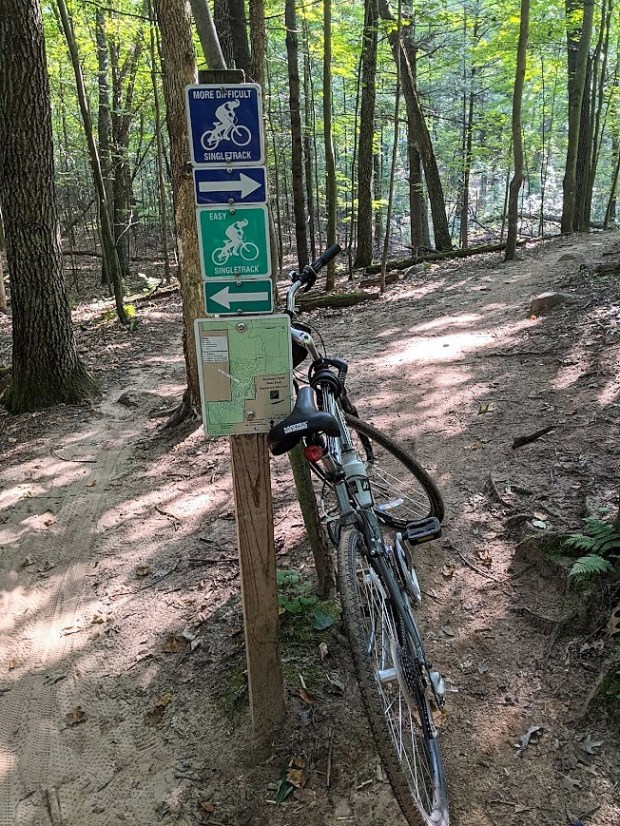 Then I came to a fork in the road and had to make a decision. Stick to the easy track or try the more difficult track.