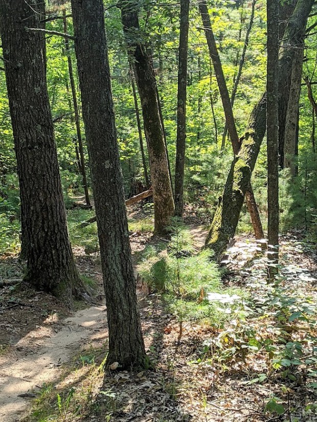 PXL_20210820_145711895