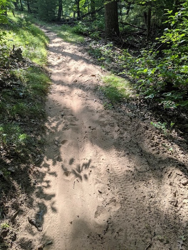 PXL_20210820_151719804