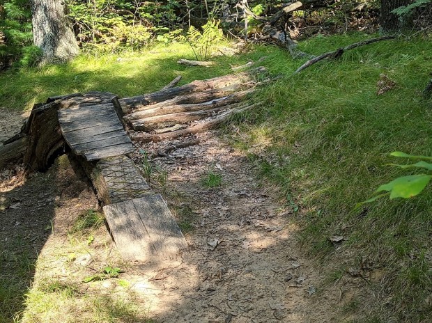 PXL_20210820_151945903