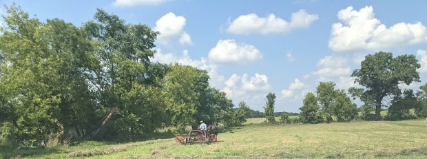 PXL_20210820_185753626