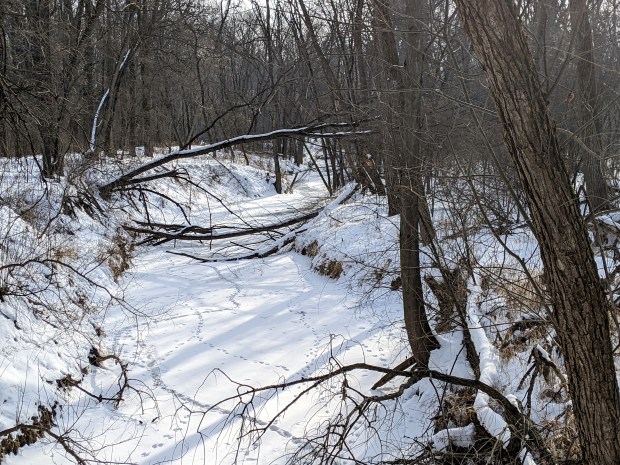 PXL_20220130_202817039