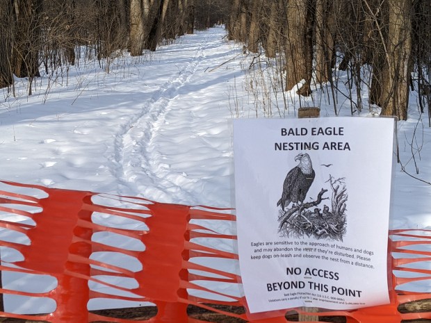 PXL_20220130_202910170