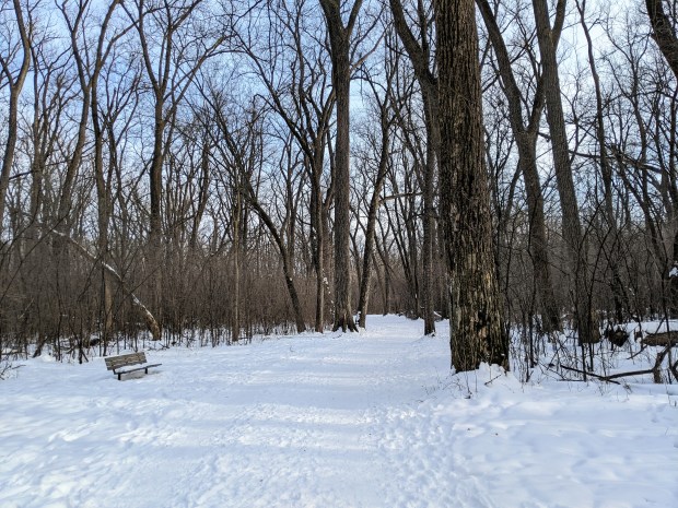 PXL_20220130_203139363