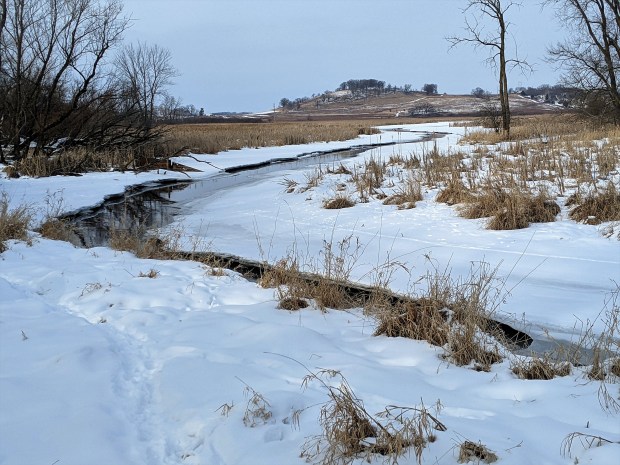 The unfrozen section of Pheasant Branch Creek.