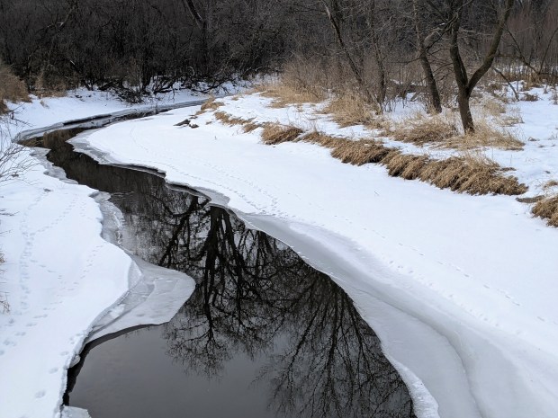 PXL_20220130_204158861