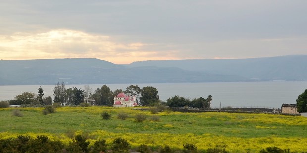 I am always cheered by seeing the colorful Orthodox church at Capernaum with its red roofs.