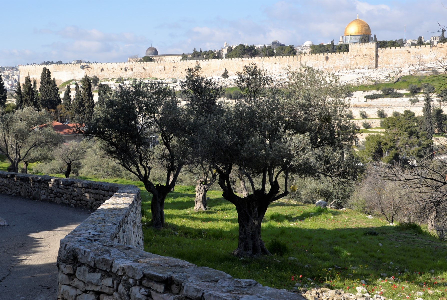 The was time for reflection amongst the olive trees in the area of the Garden of Gethsemane.