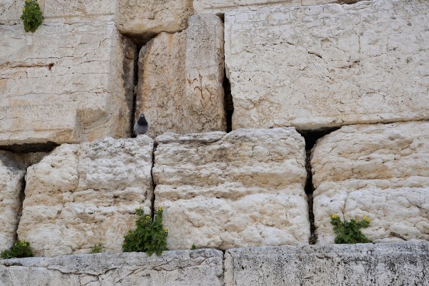 We started at the Western Wall of the Temple Mount, the holiest site of Judaism today.