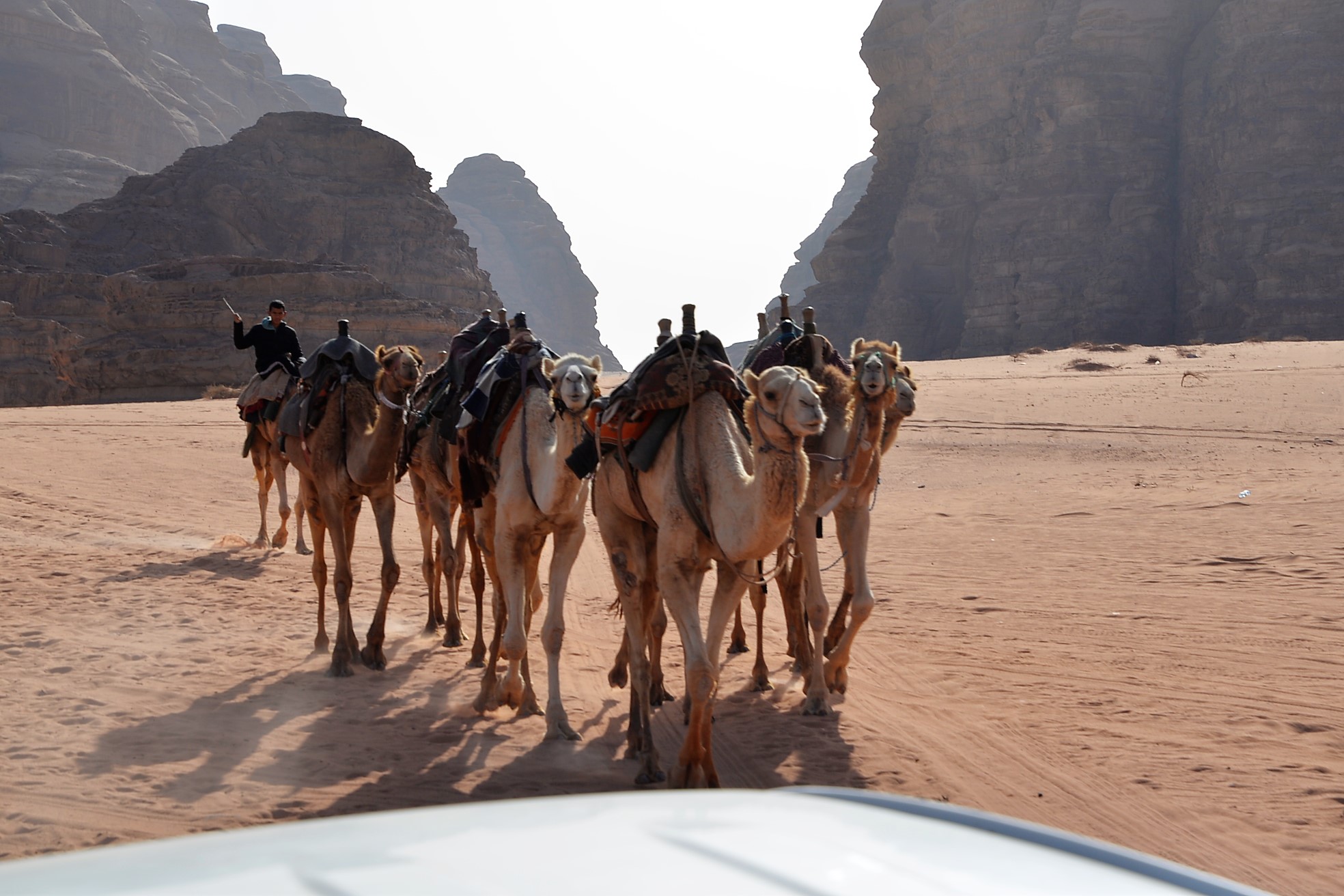 Rush hour traffic jam in the desert.