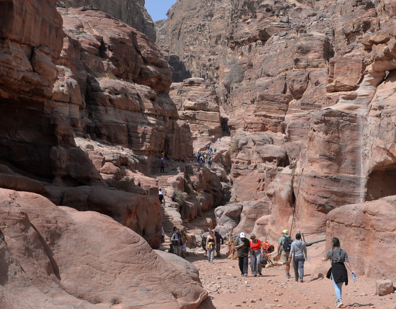 The trail continued, beginning a long climb.