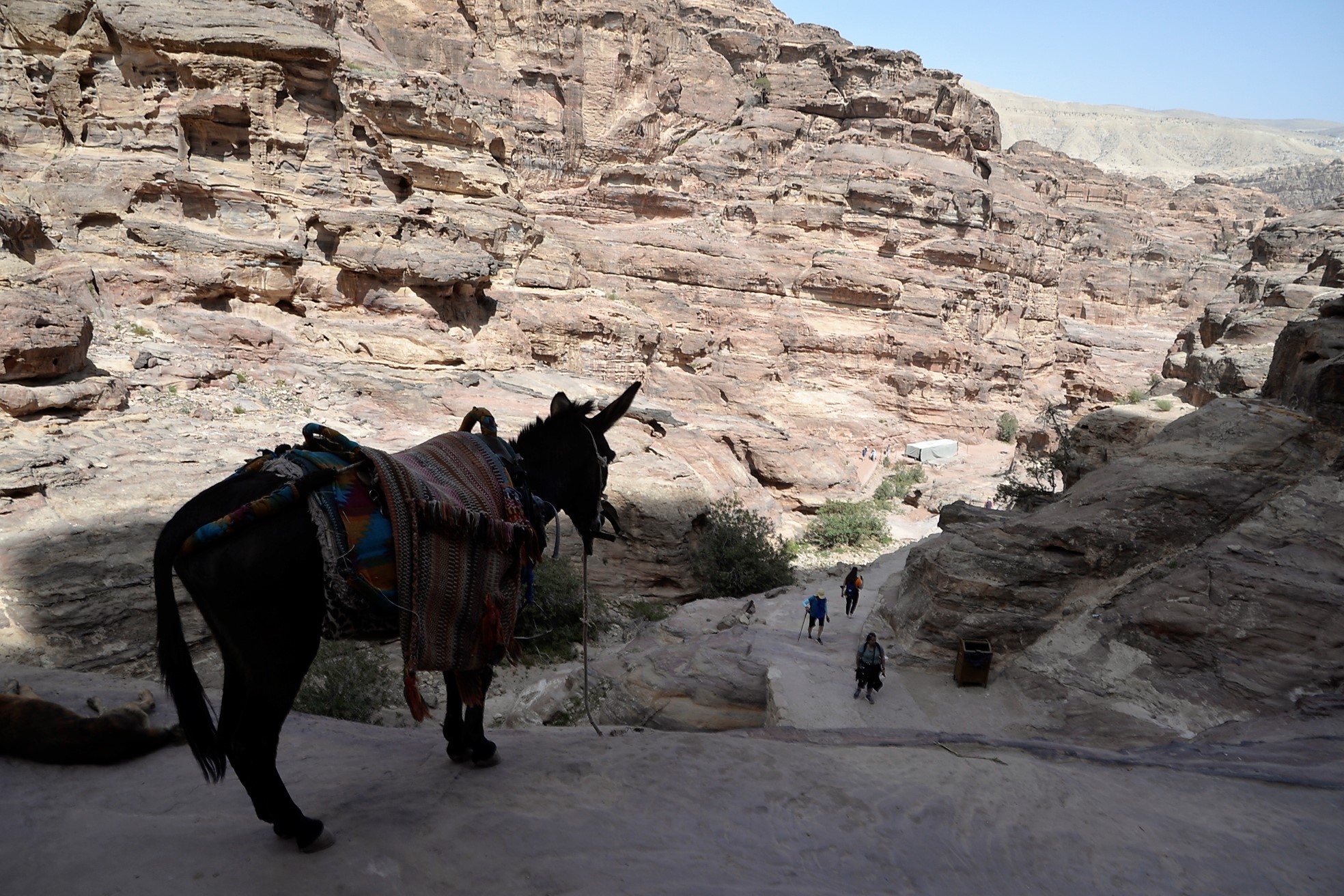 I could have ridden a donkey.