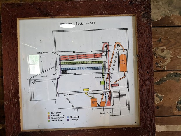 This diagram illustrates the route of the grain as it enters the mill and becomes sifted flour.