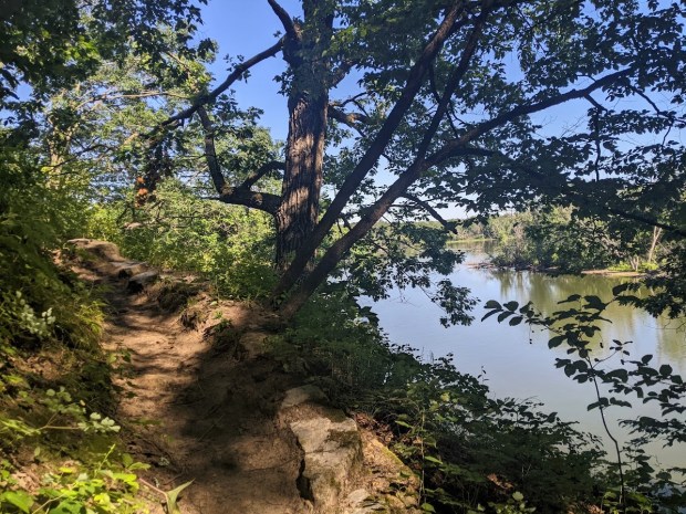 Meandering between the bluffs and the river.