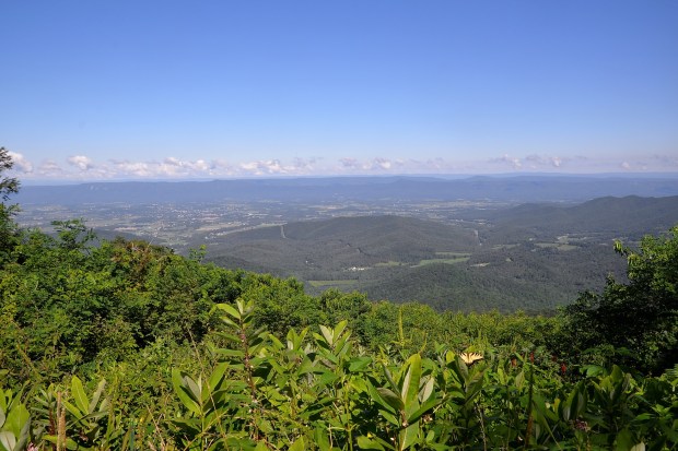 You can see for miles. Did you notice the butterfly?