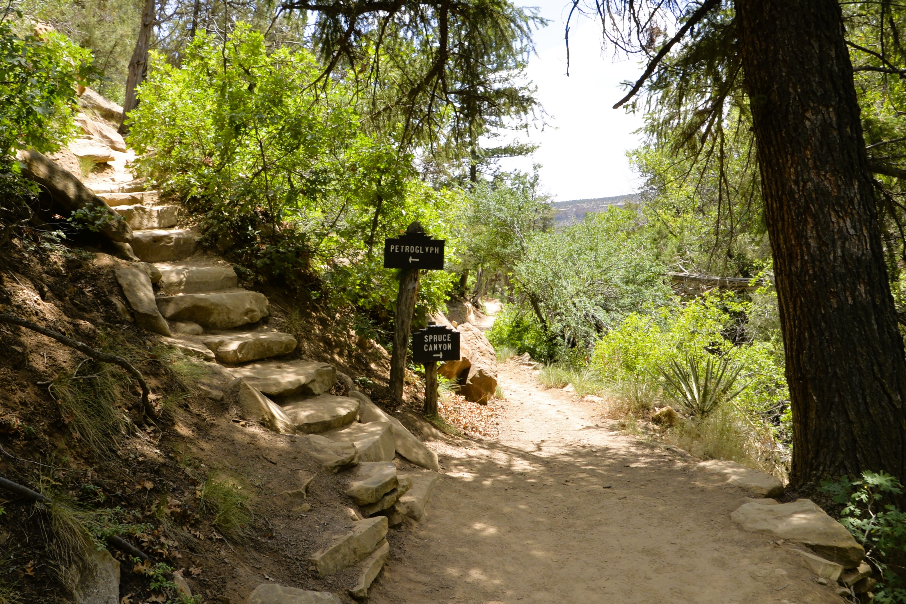 And time to hit the trails. I chose the high road.