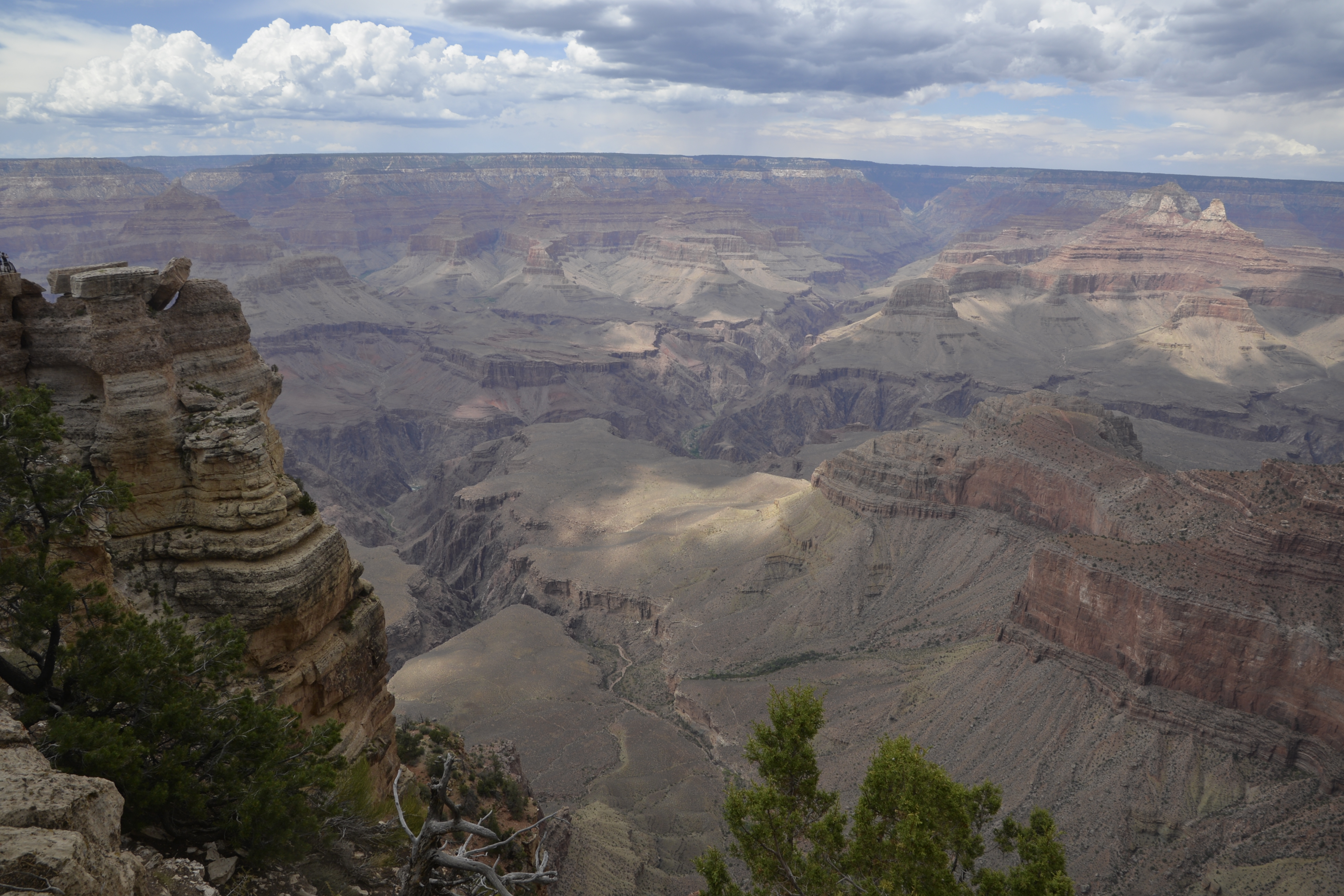After the giant trees, the Grand Canyon.