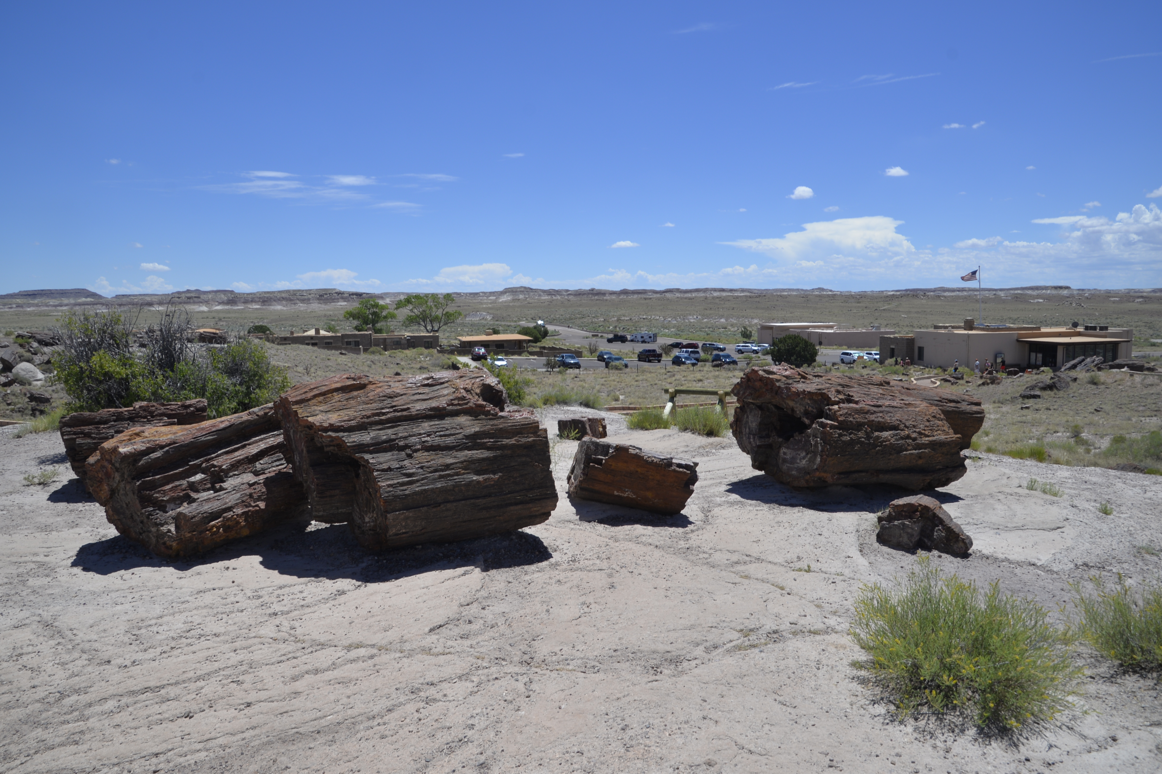 One last forest to talk through.