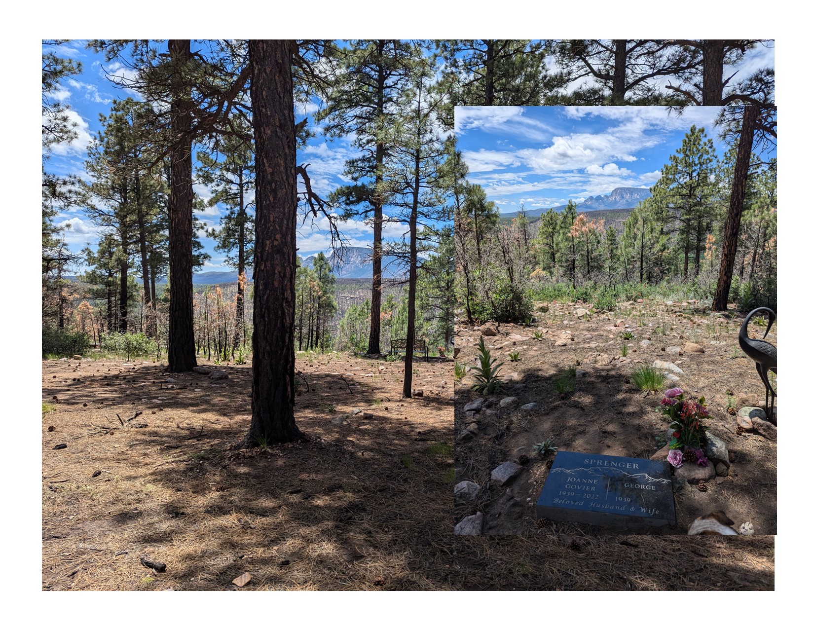 The last stop was in New Mexico with the family of my sister who passed away last year, and a visit to her grave on top of the ridge, one of her favorite places.