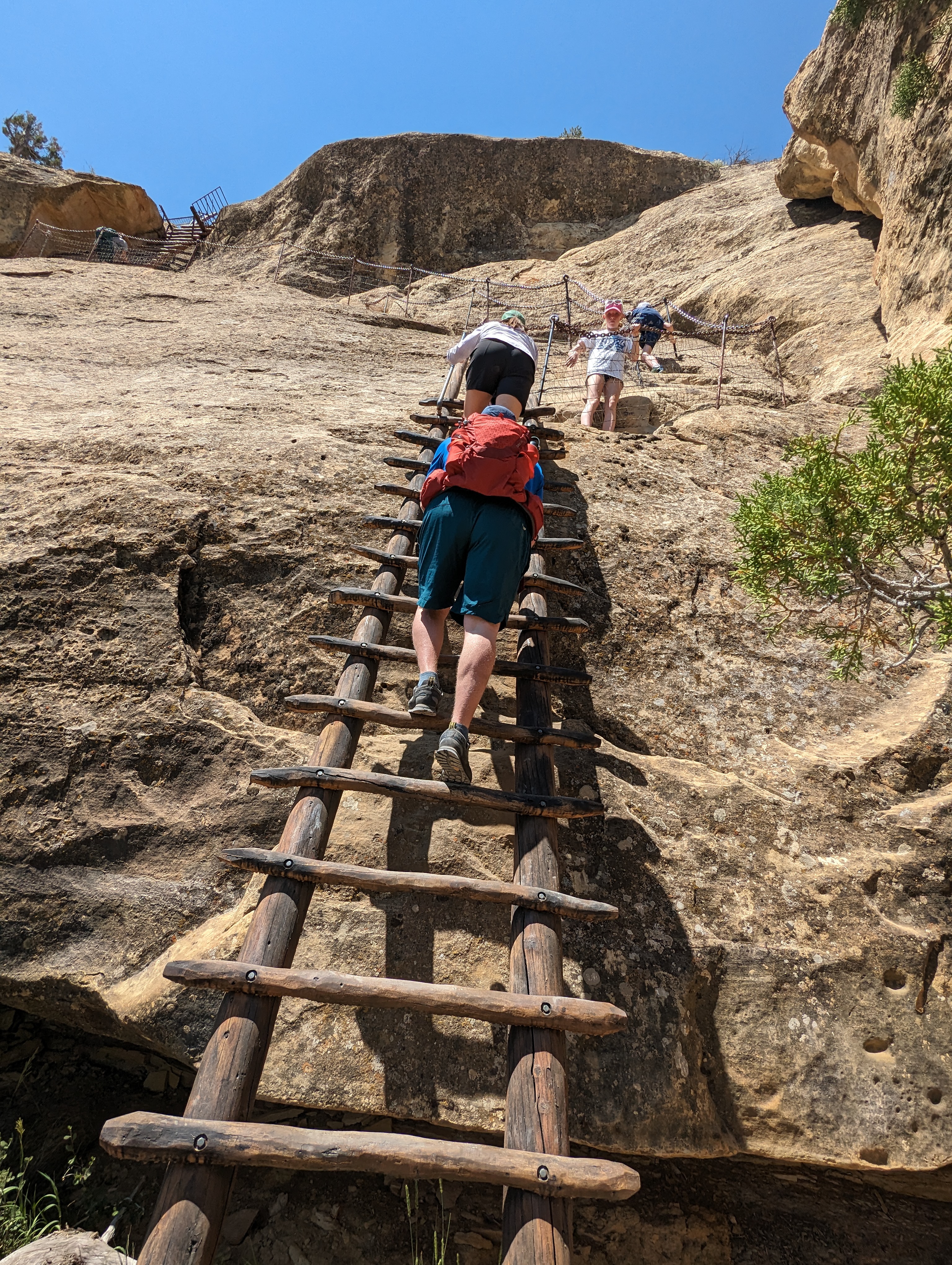 PXL_20240613_173645665