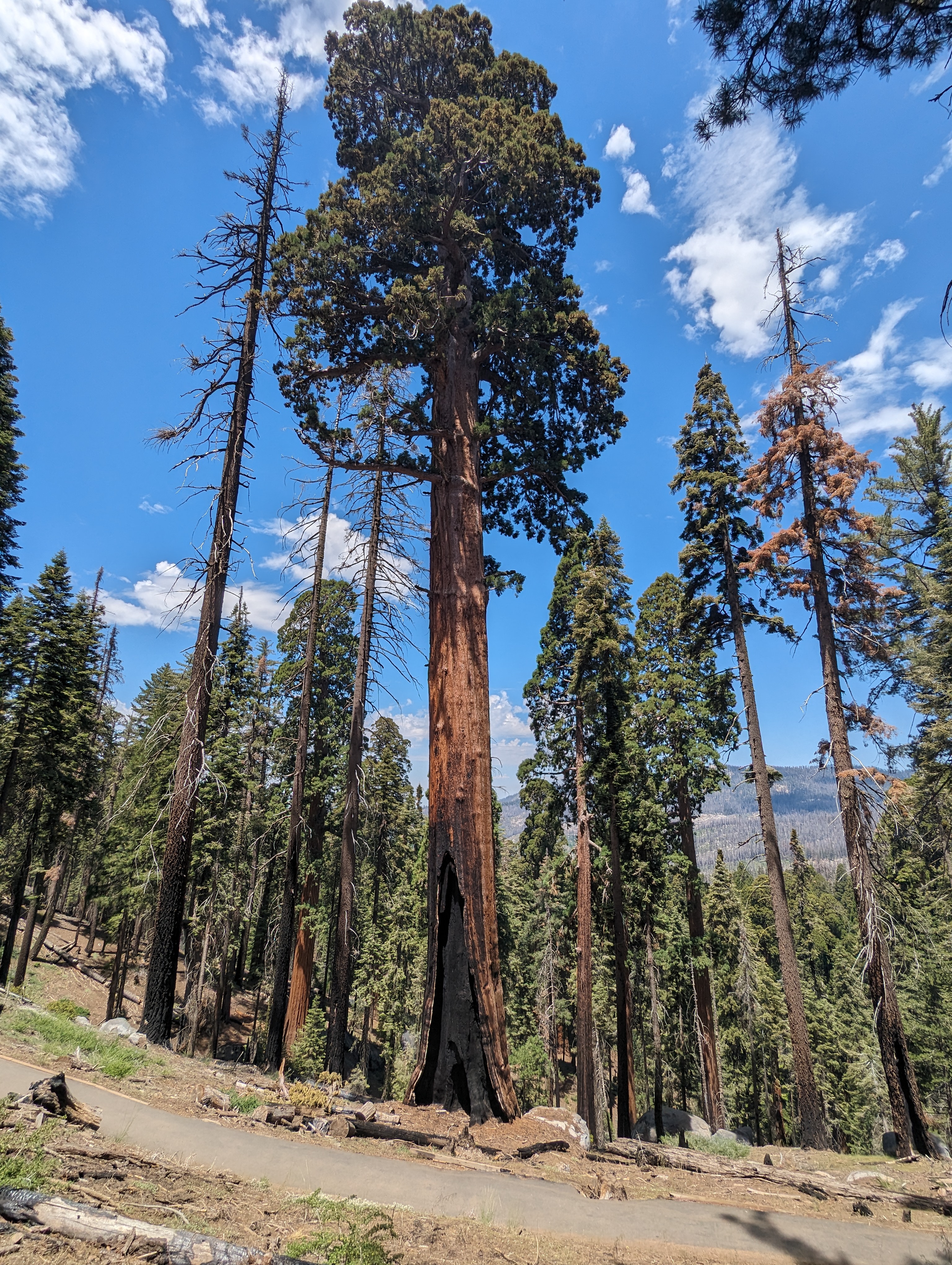 PXL_20240624_190627800