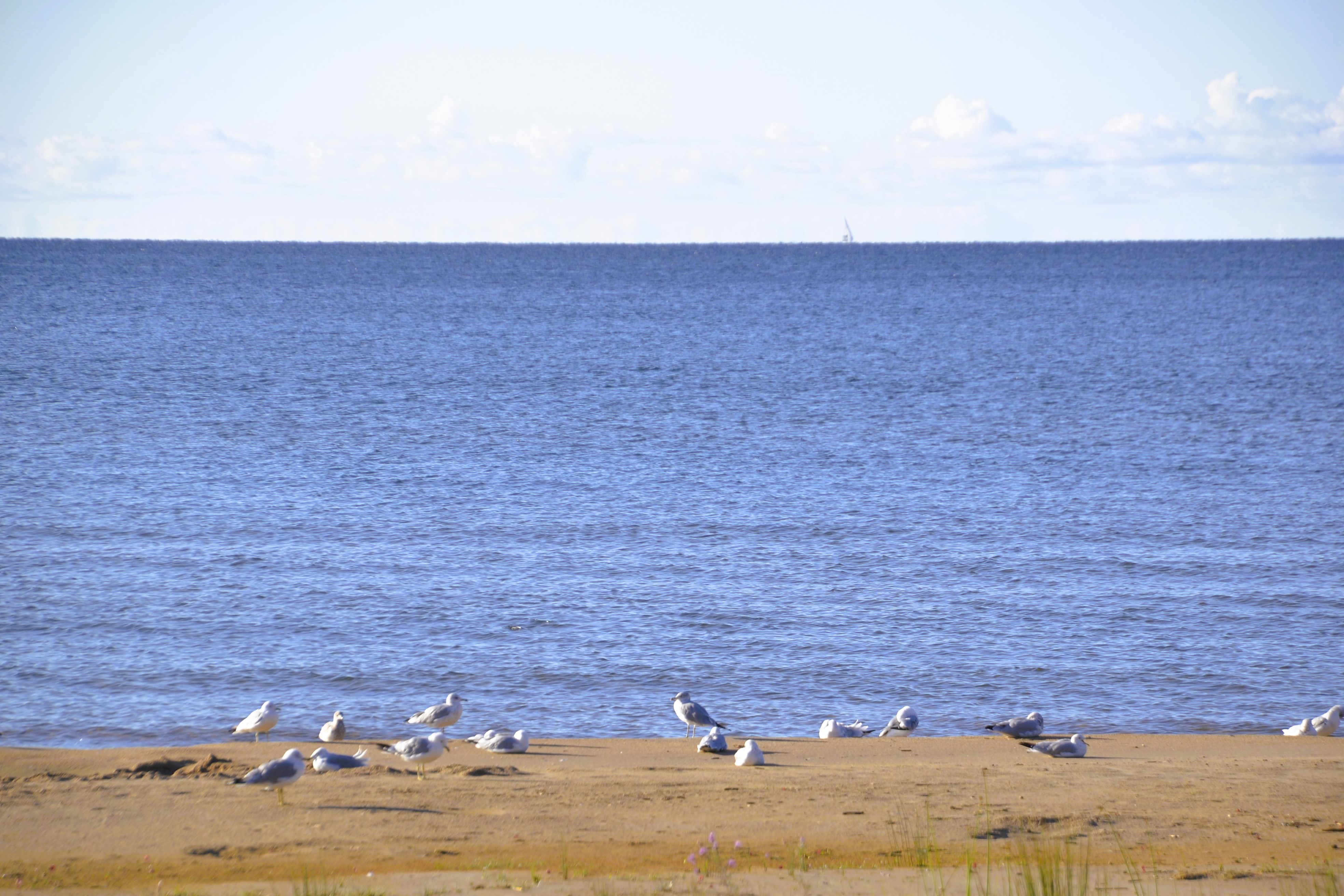 A few hours later I stopped at a roadside park for a quick breakfast with waves lapping along the Lake Michigan shore just a few feet away.