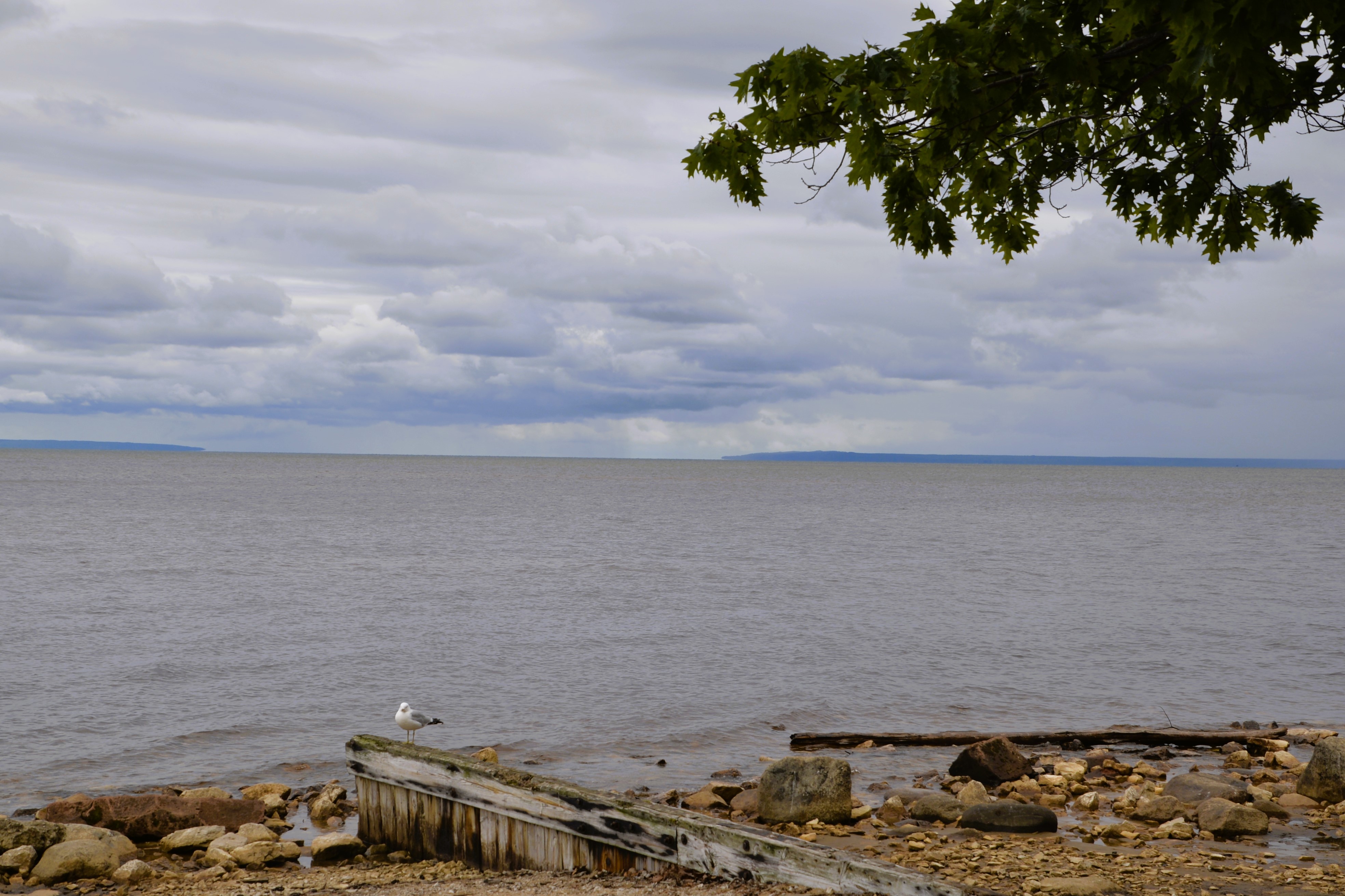 From Mackinac I headed north to the shores of Lake Superior.