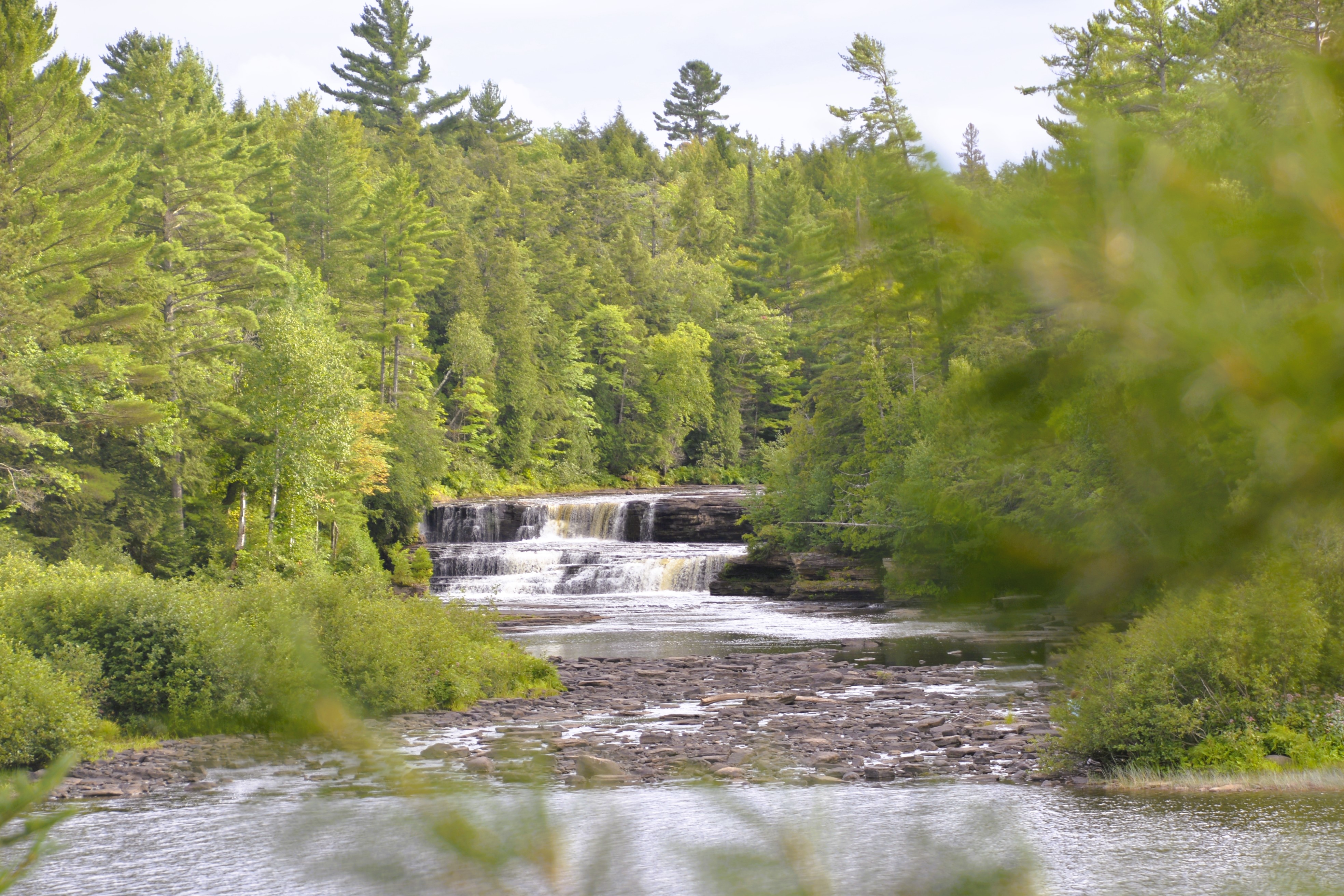 The lower Tahquamenon Falls