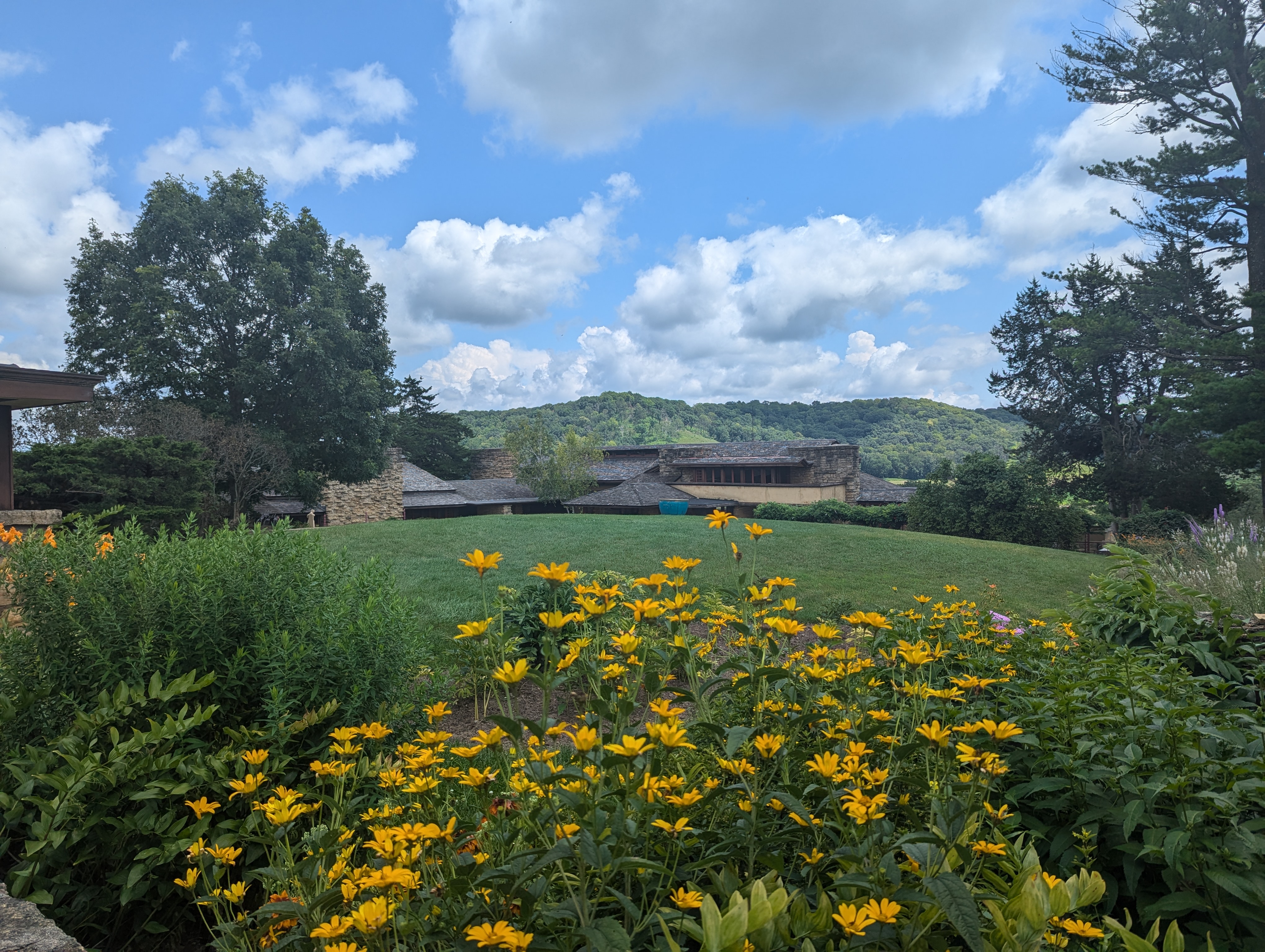 Good bye Shining Brow.